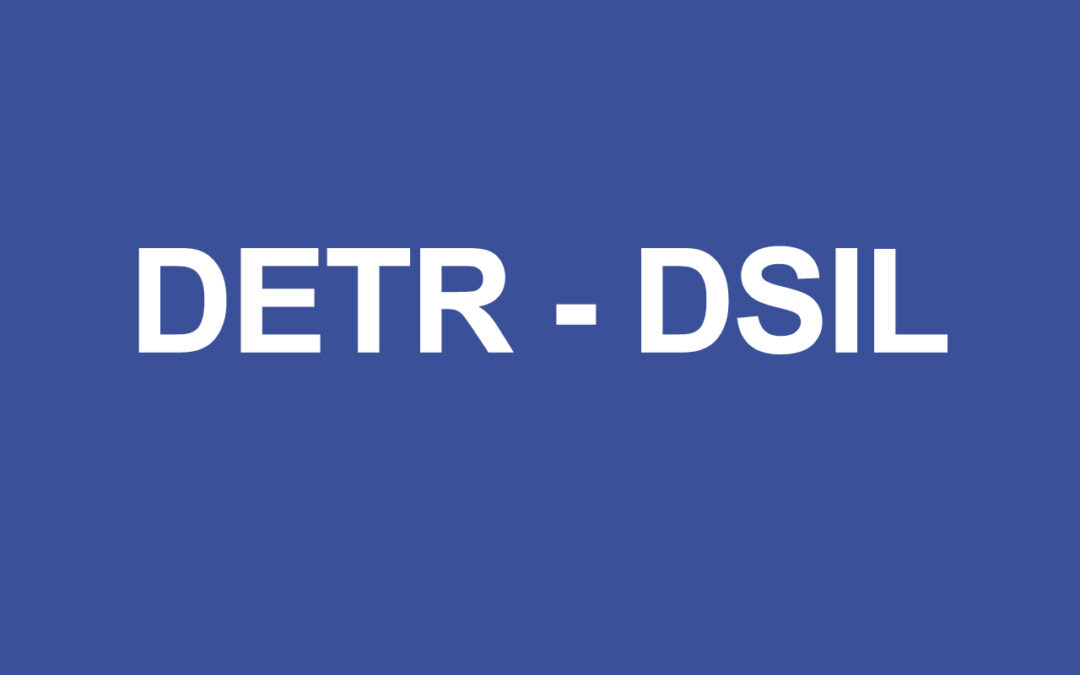 DETR / DSIL 2023 – C’est le moment de préparer et déposer vos dossiers